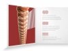 Struny D'ADDARIO XSA Phosphor Bronze (13-53)